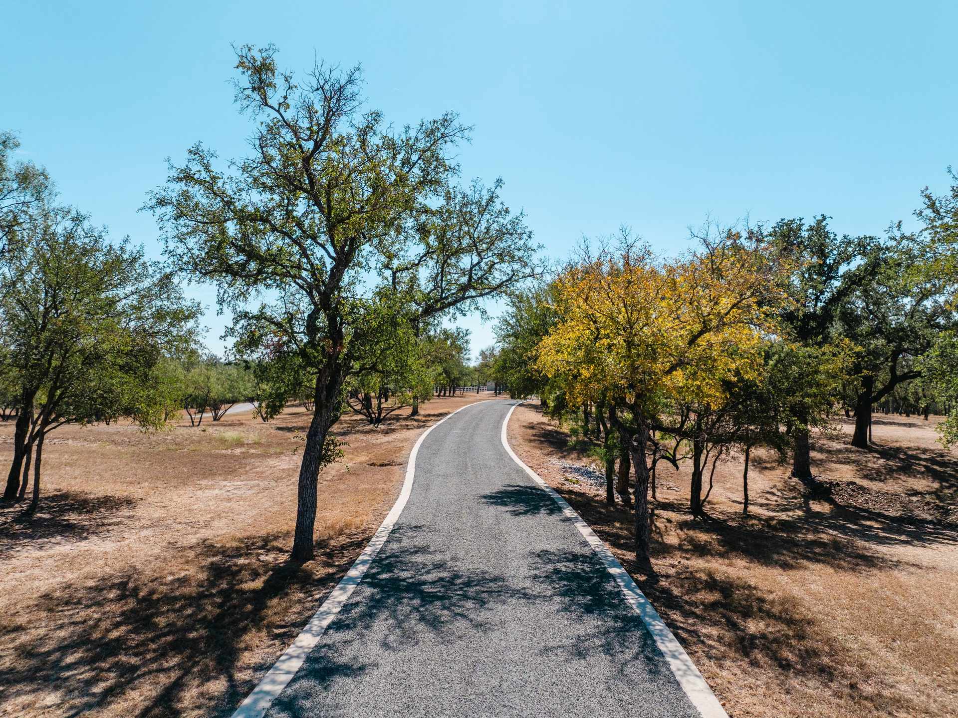Finished chip-seal road running through mature trees