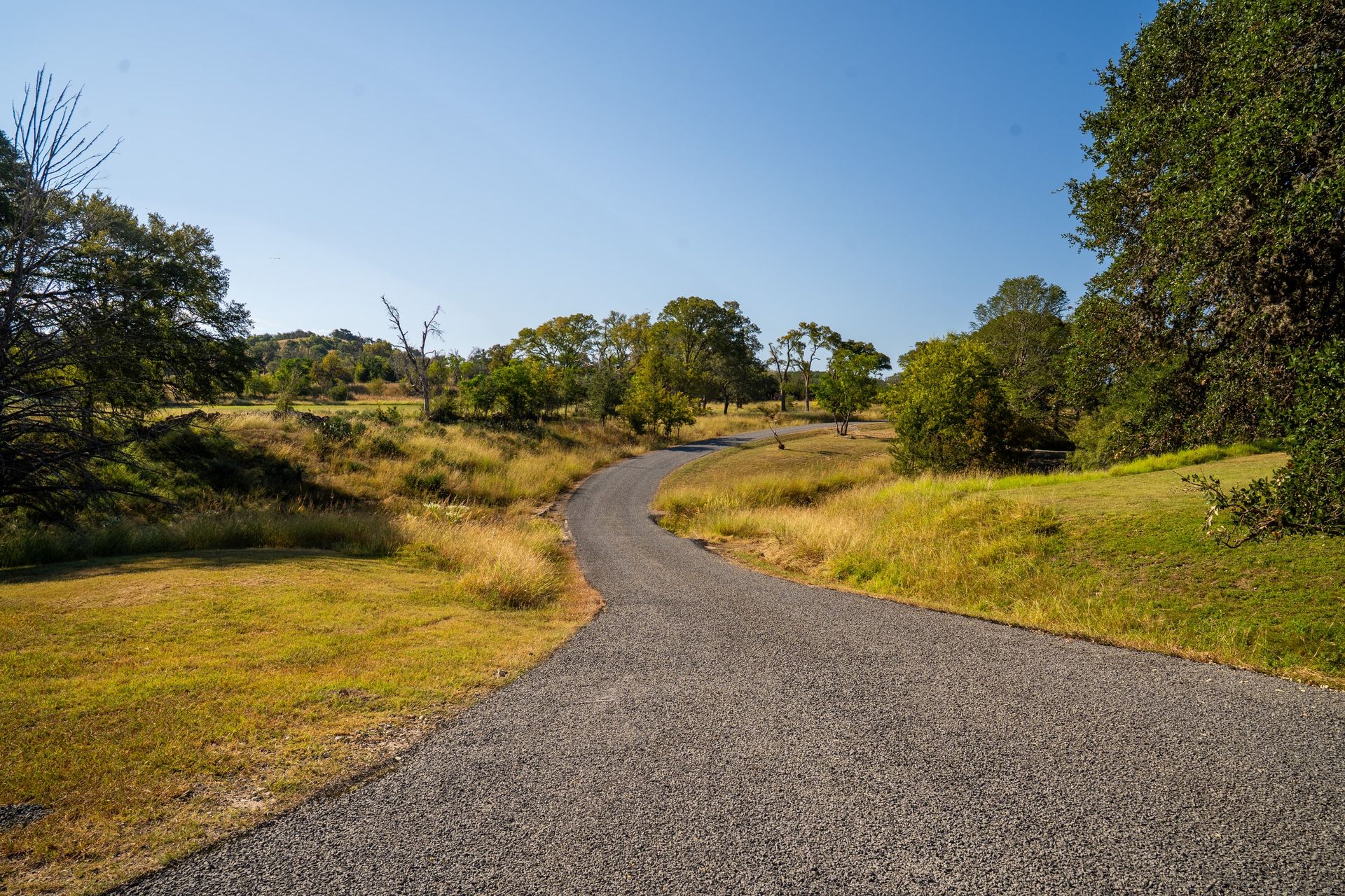 Finished aggregate-surface drive running through a wooded property